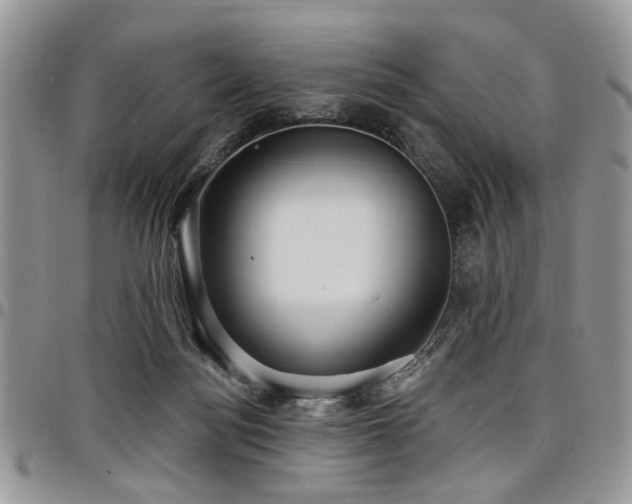 X0000098010172200803281320