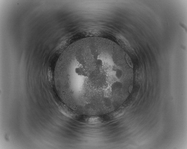 X0000098010173200803281320