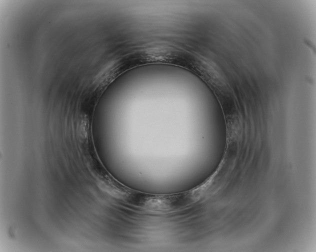 X0000098010174200803281320