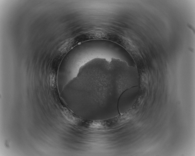 X0000098010177200803281320