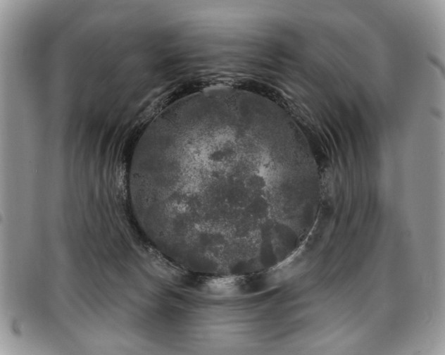 X0000098010178200803281320