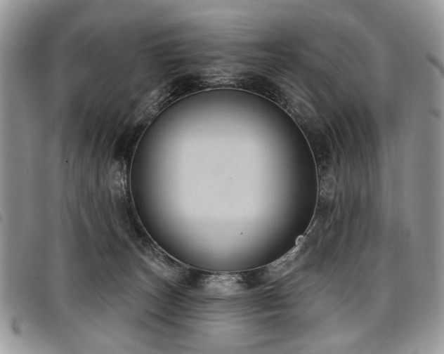X0000098010179200803281320
