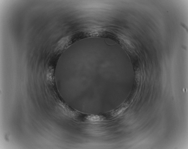 X0000098010181200803281320