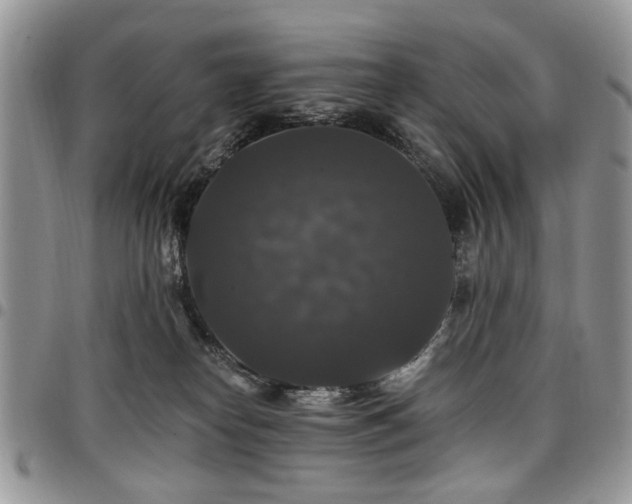 X0000098010182200803281320