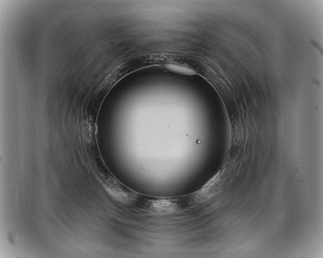 X0000098010183200803281320