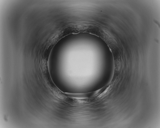 X0000098010184200803281320