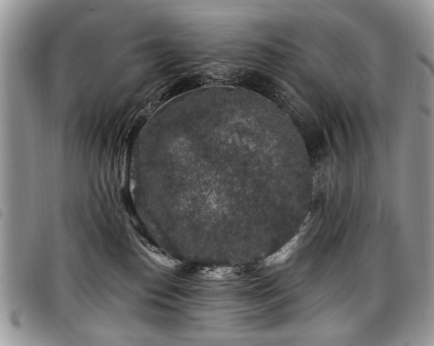 X0000098010186200803281320