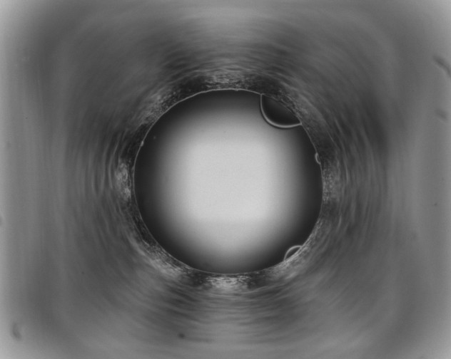X0000098010187200803281320