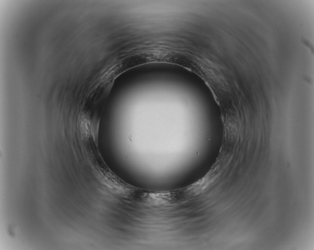 X0000098010188200803281320