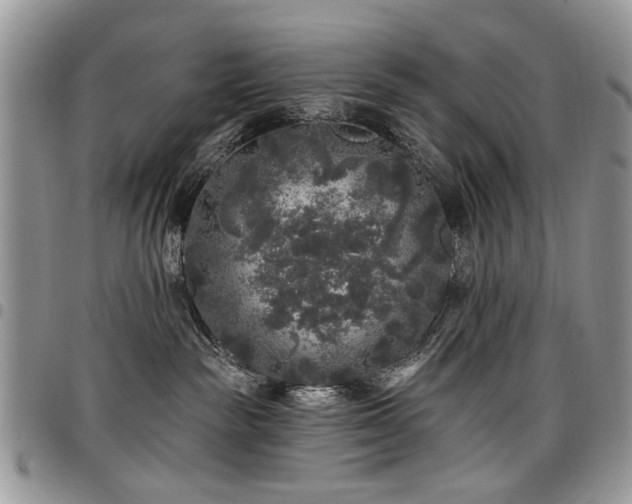 X0000098010189200803281320