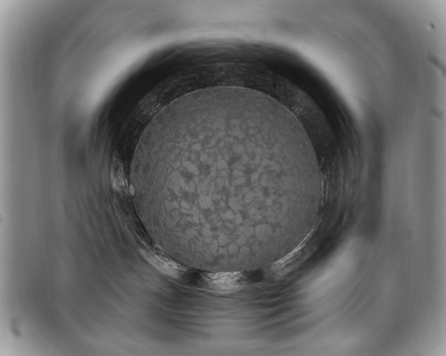 X0000098010191200803281320
