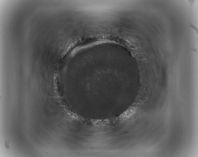 X0000098010192200803281320