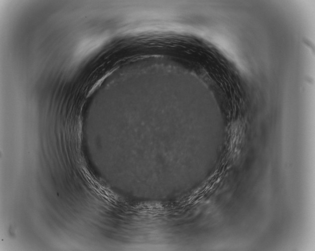 X0000098010194200803281319