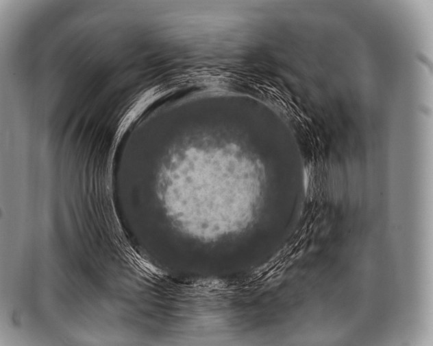 X0000098010195200803281319