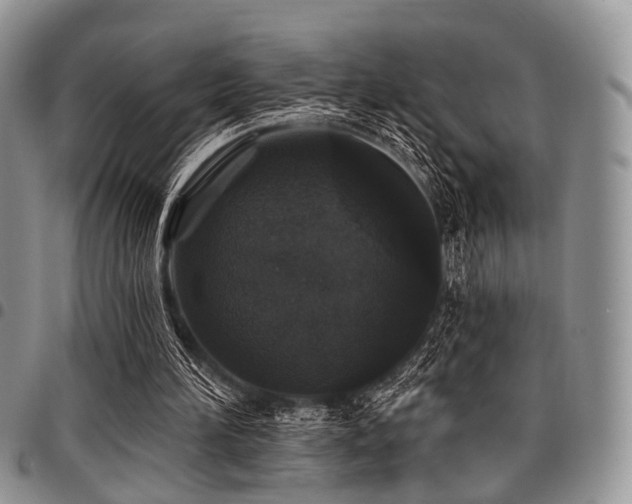 X0000098010196200803281319