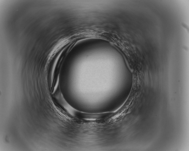 X0000098010197200803281319