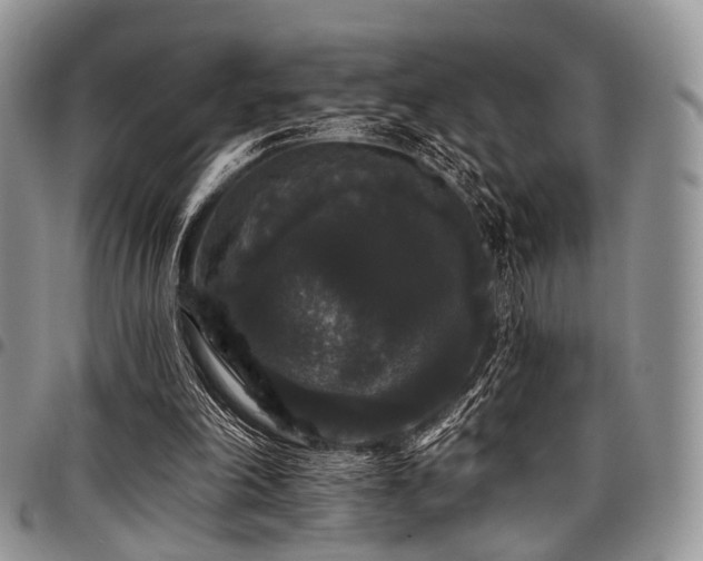 X0000098010198200803281319