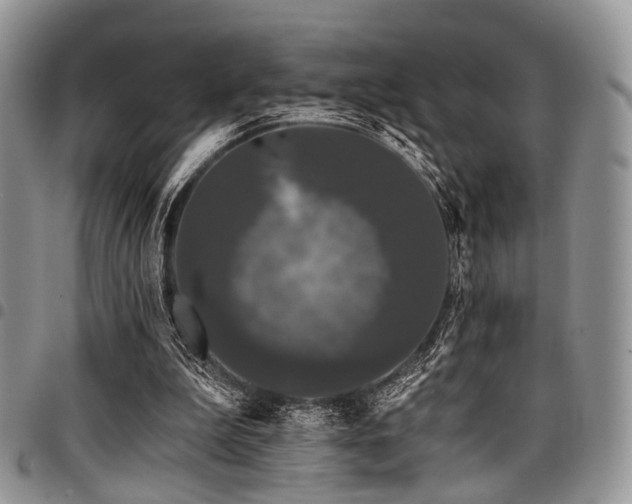 X0000098010199200803281319