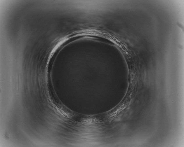 X0000098010200200803281319