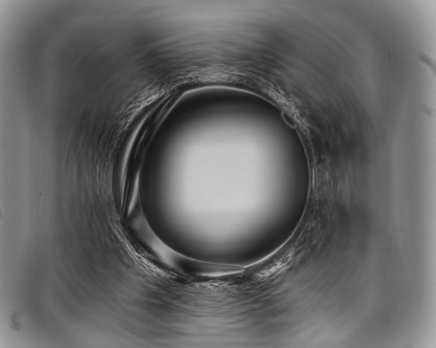 X0000098010201200803281319