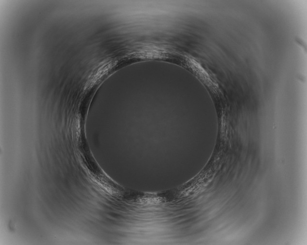 X0000098010202200803281319