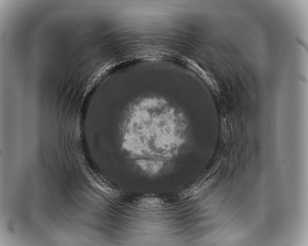 X0000098010203200803281319