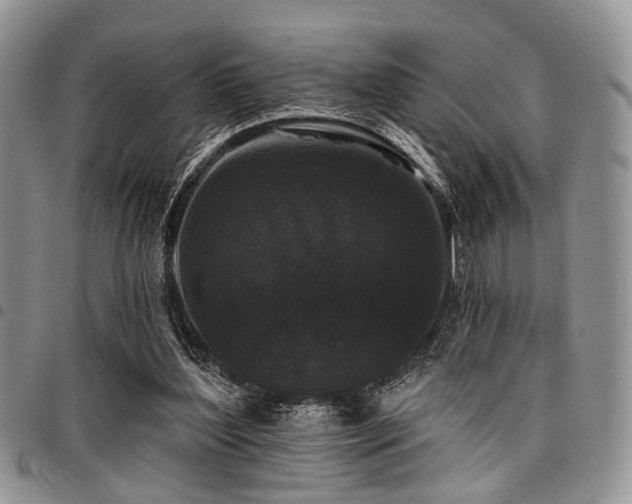 X0000098010204200803281319