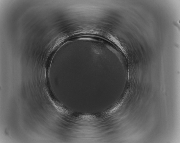 X0000098010205200803281319