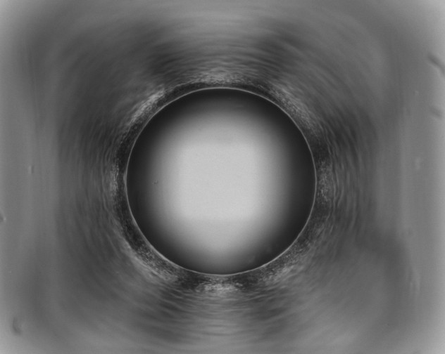 X0000098010208200803281319