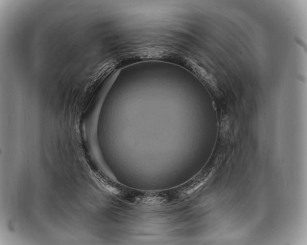 X0000098010209200803281319