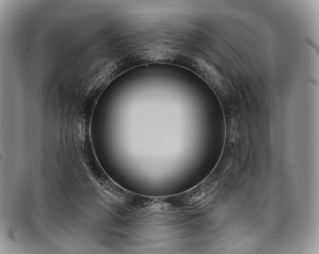 X0000098010210200803281319