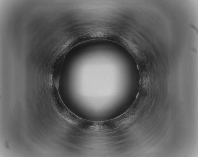 X0000098010211200803281319
