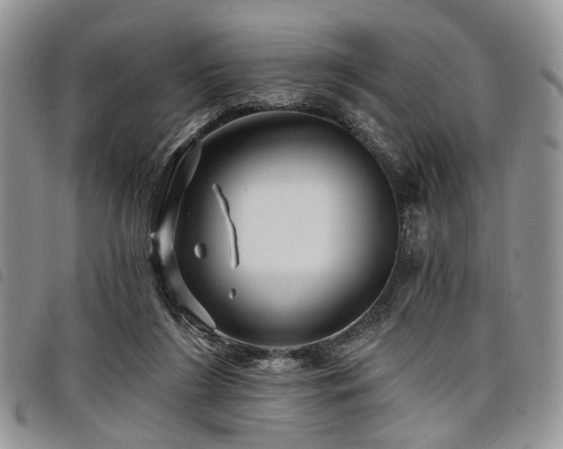 X0000098010212200803281319