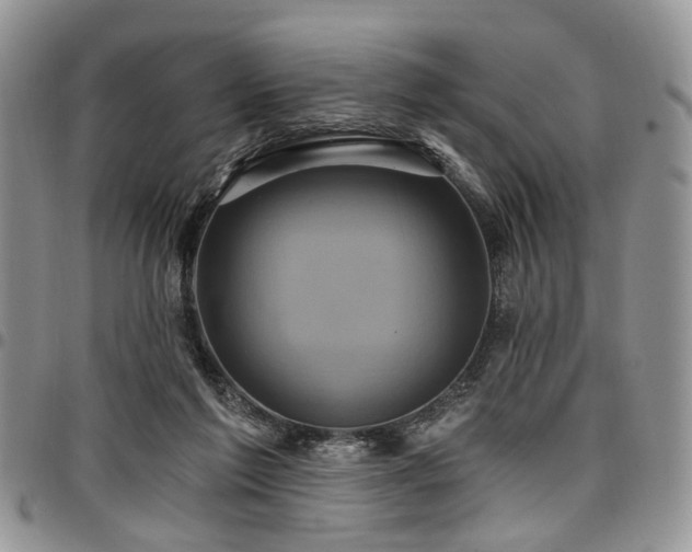 X0000098010213200803281319