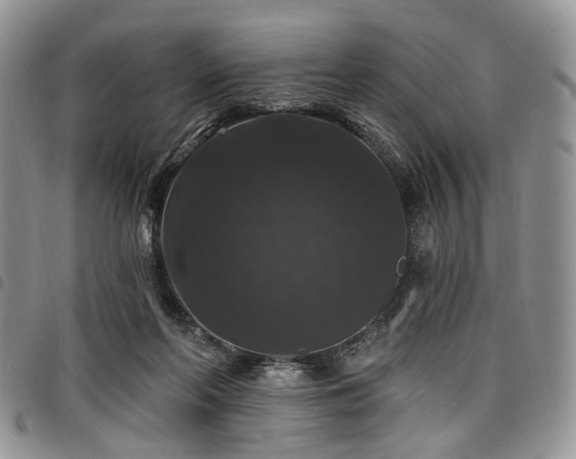 X0000098010214200803281319