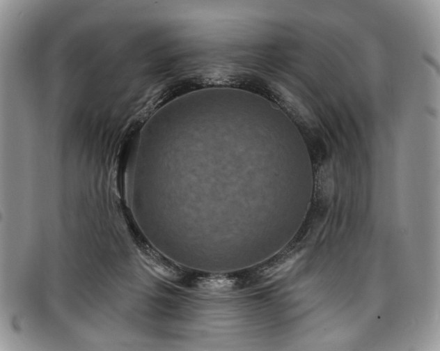 X0000098010217200803281319