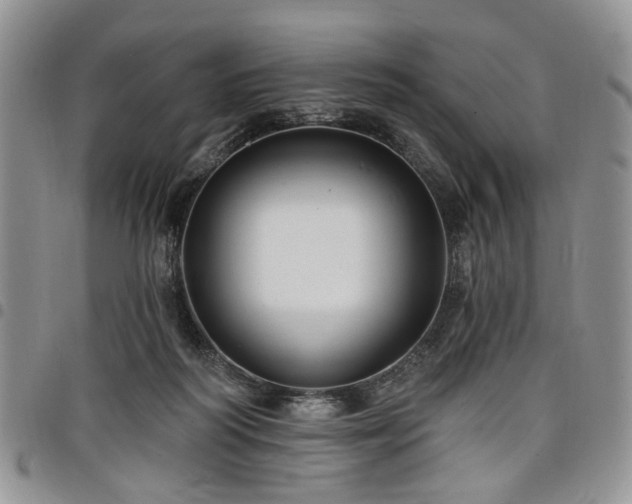 X0000098010218200803281319