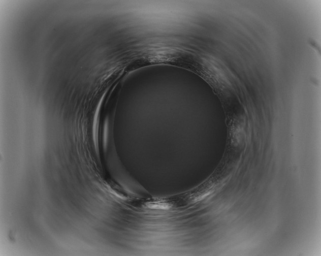 X0000098010219200803281319