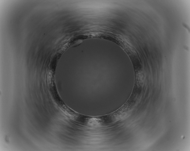X0000098010222200803281319