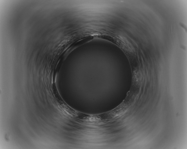 X0000098010223200803281319