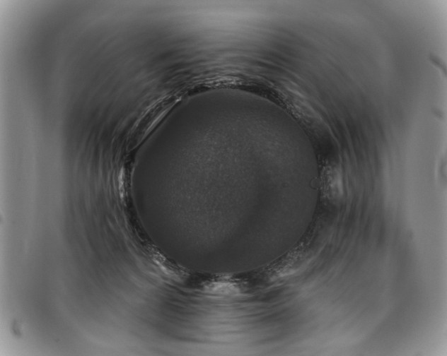 X0000098010224200803281319