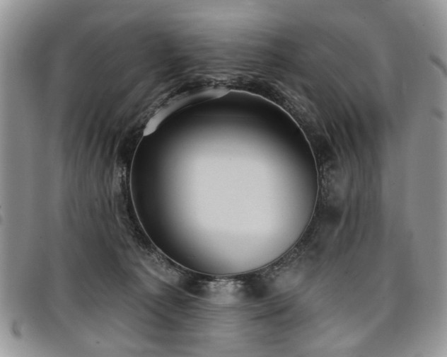 X0000098010225200803281319