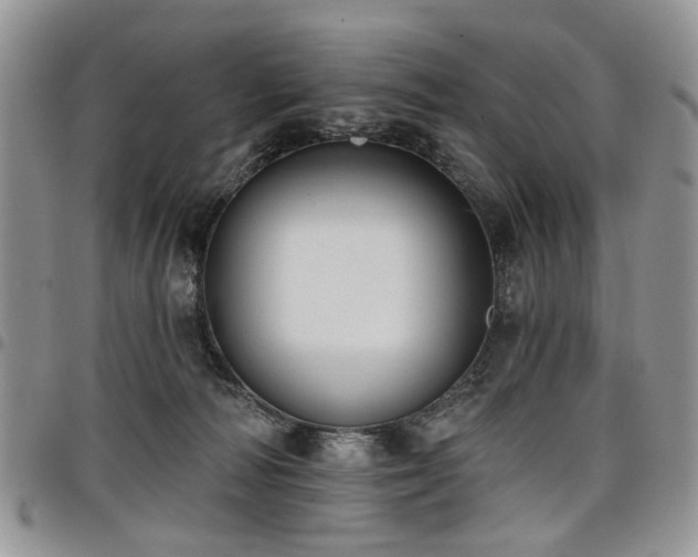 X0000098010226200803281319