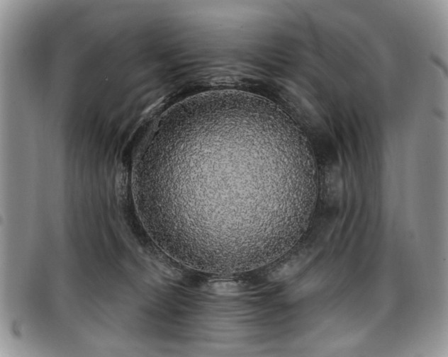 X0000098010228200803281319