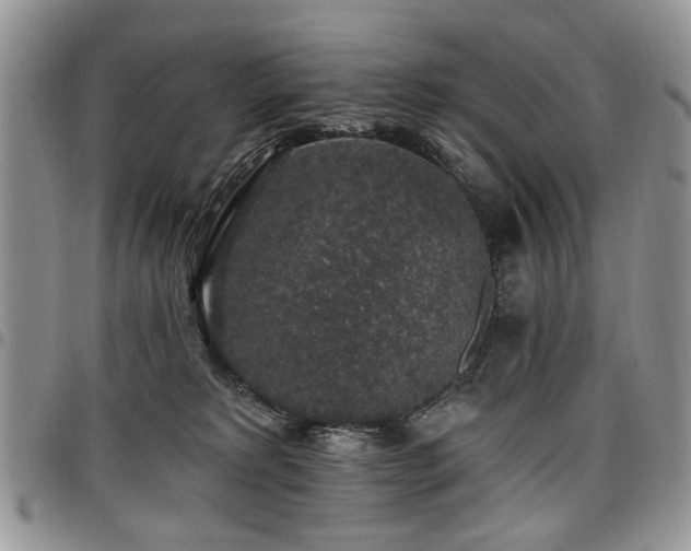 X0000098010229200803281319
