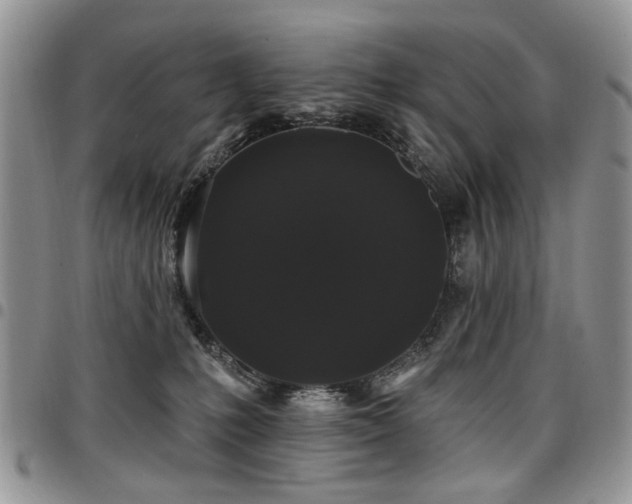 X0000098010231200803281319