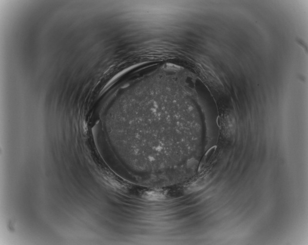 X0000098010232200803281319