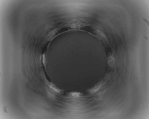 X0000098010233200803281319