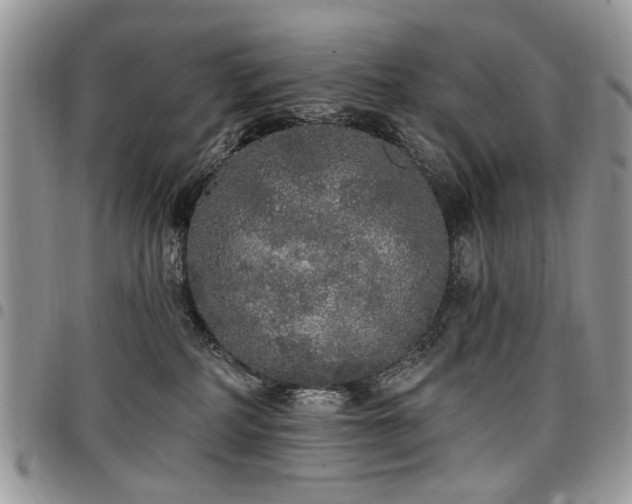 X0000098010234200803281319
