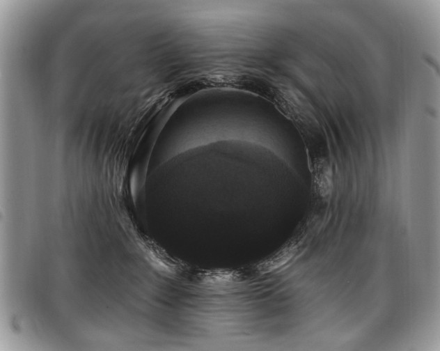X0000098010235200803281319